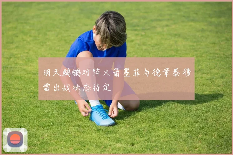 明天鹈鹕对阵火箭墨菲与德章泰穆雷出战状态待定